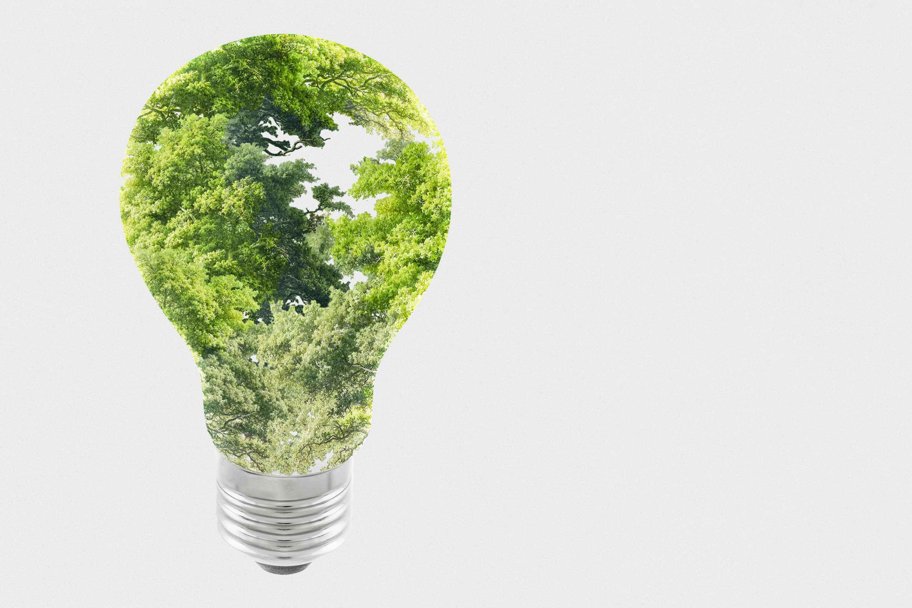 Which appliances are the biggest energy consumers in the home? - Lumary