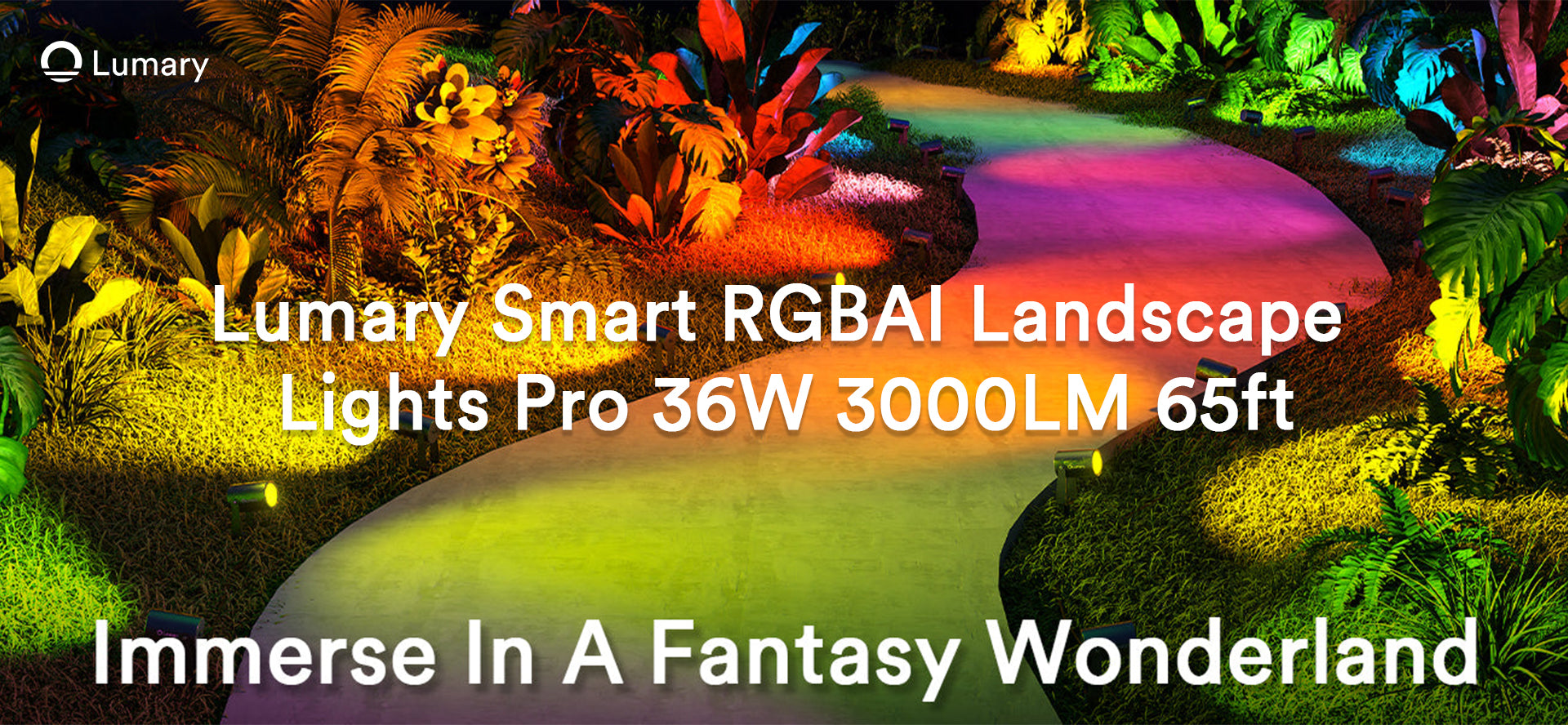 Affordable Outdoor Light Fixtures: Top Buying Tips