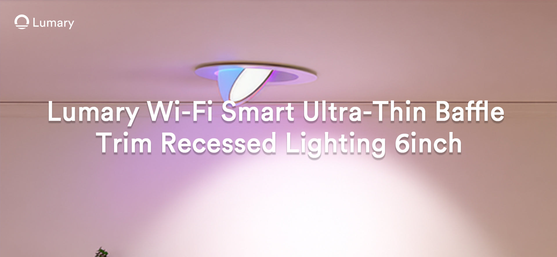 Light Bulbs: Which Type Fits Your Home?