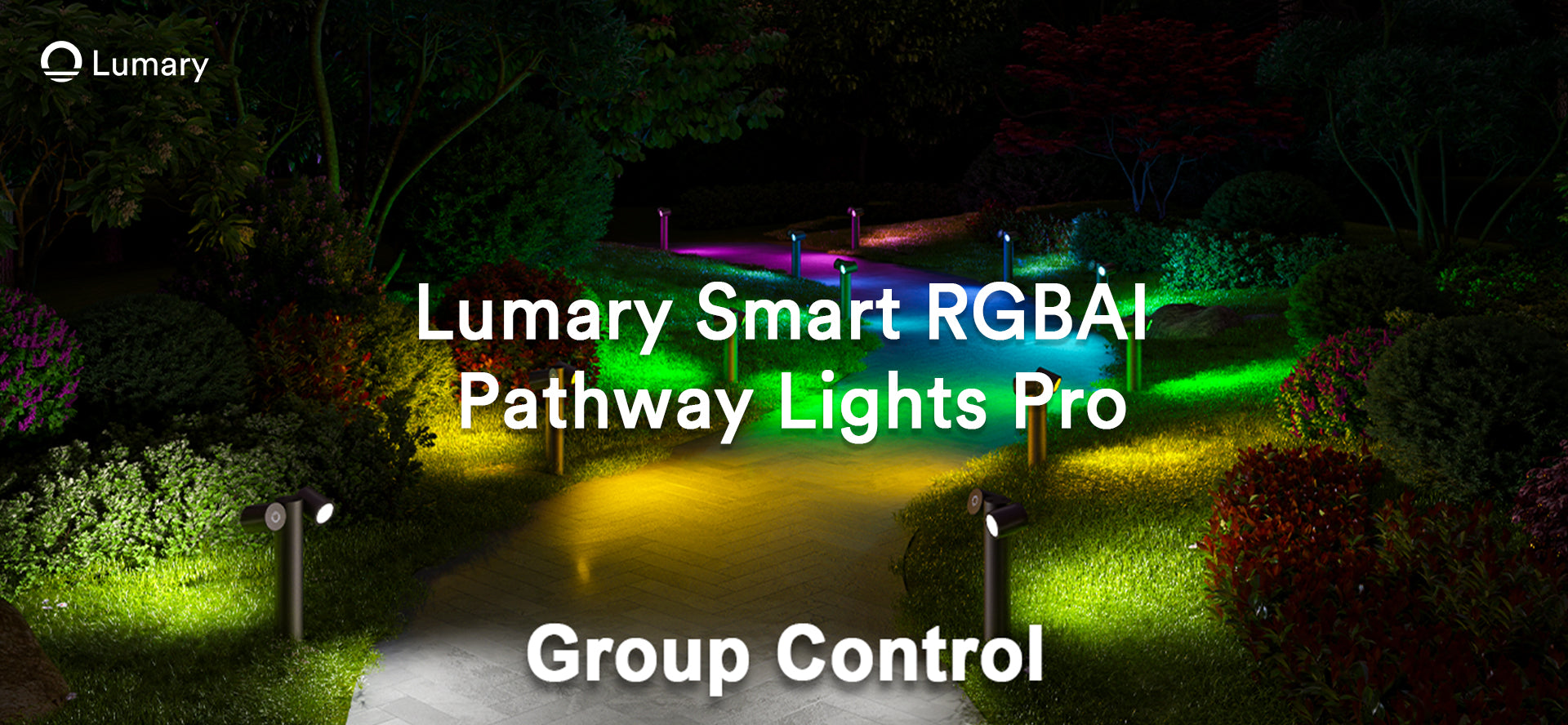 Transform Your Yard with LED Spotlights for Stunning Aesthetics
