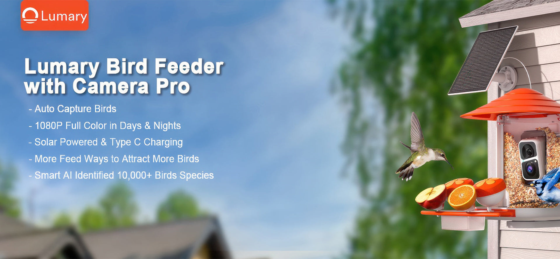 Smart Bird Feeder Camera: Make the Right Choice