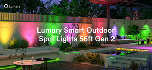 Selecting Spotlights for Landscape Projects: A Guide