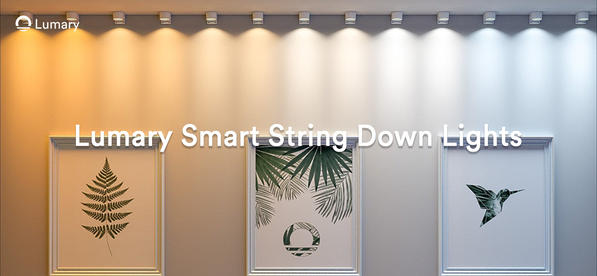Guide to Selecting Indoor Smart String Lights