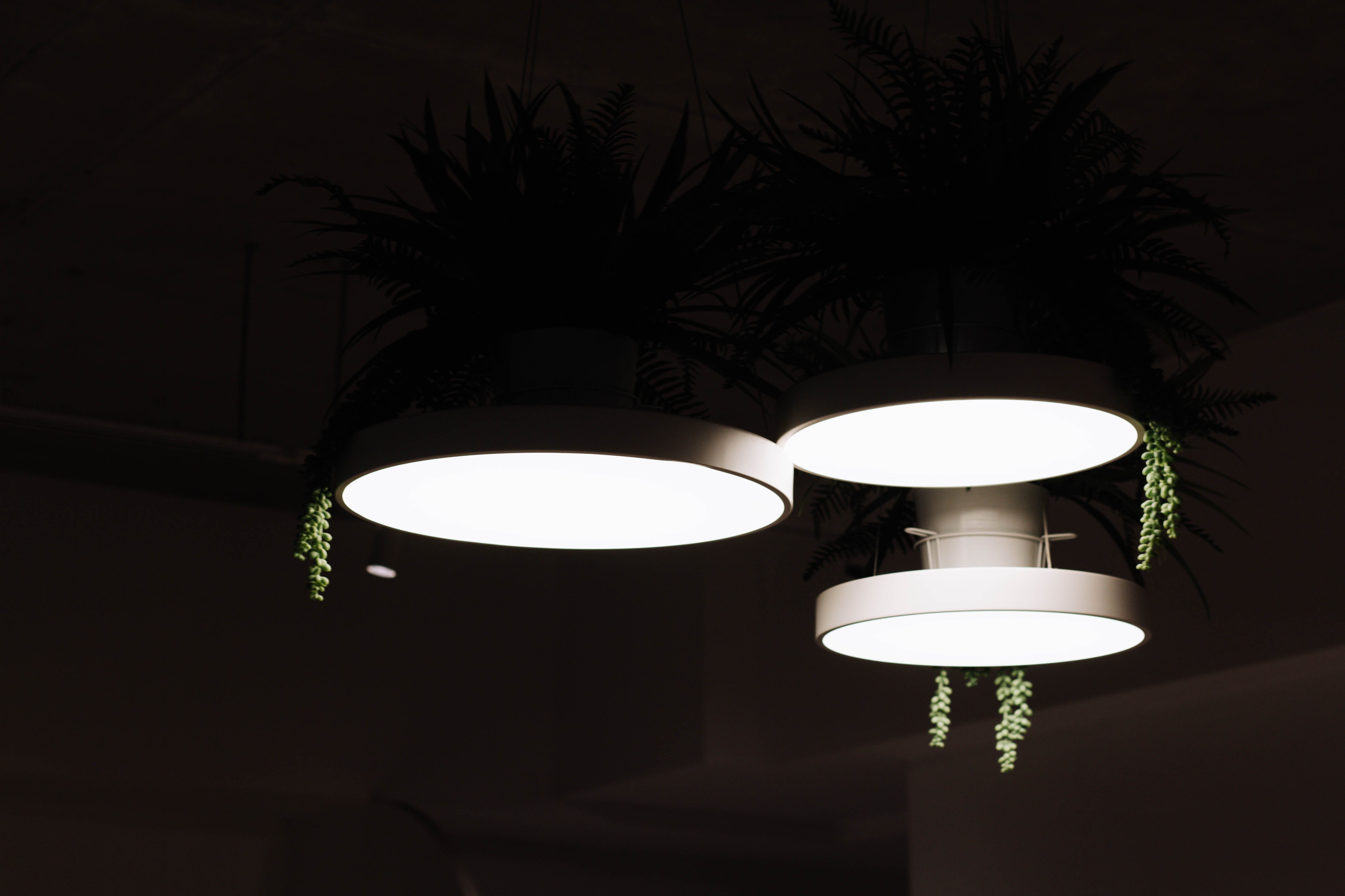 Lumary Smart Ceiling Light