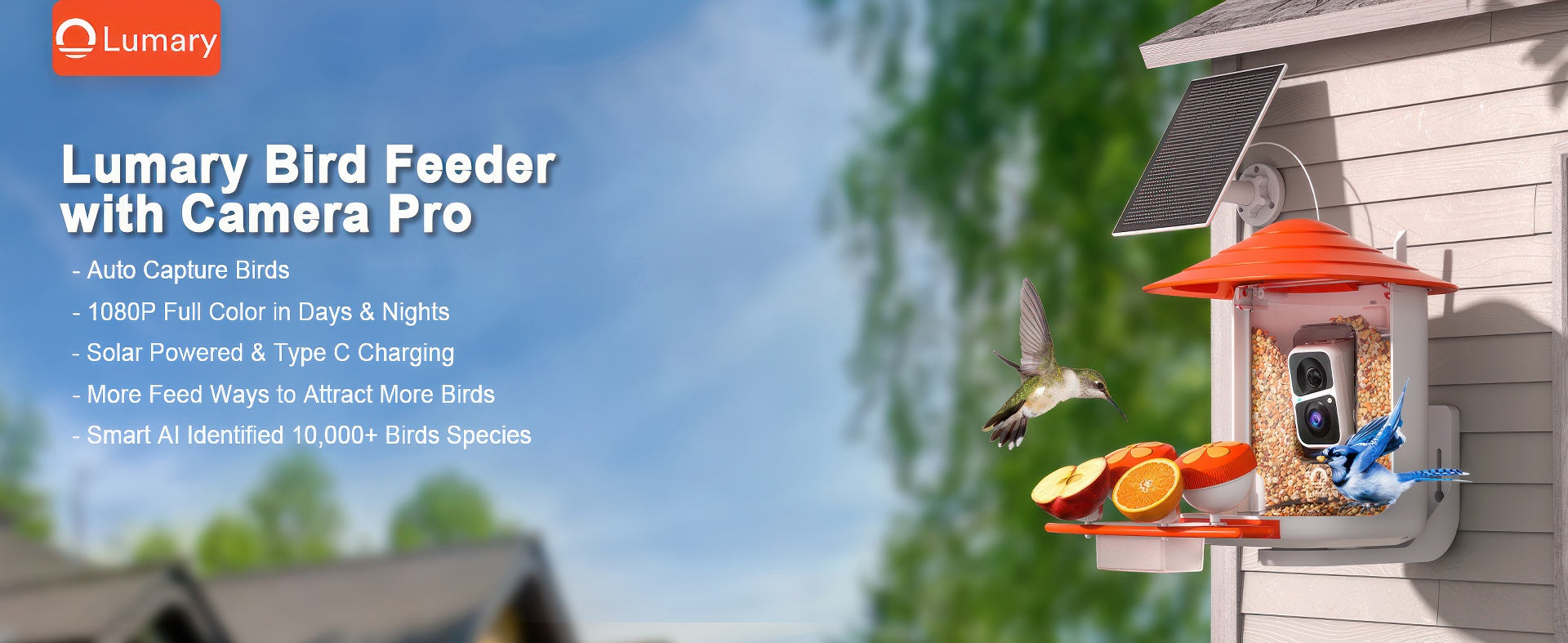 A Comprehensive Guide to Selecting the Ideal Smart Bird Feeder