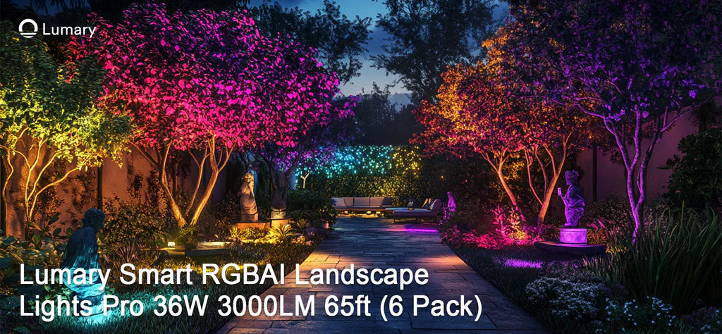 Smart Tips for Choosing Energy-Efficient Outdoor Lights in 2025