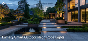 How to Choose the Best LED Rope Lights for Your Home in 2025