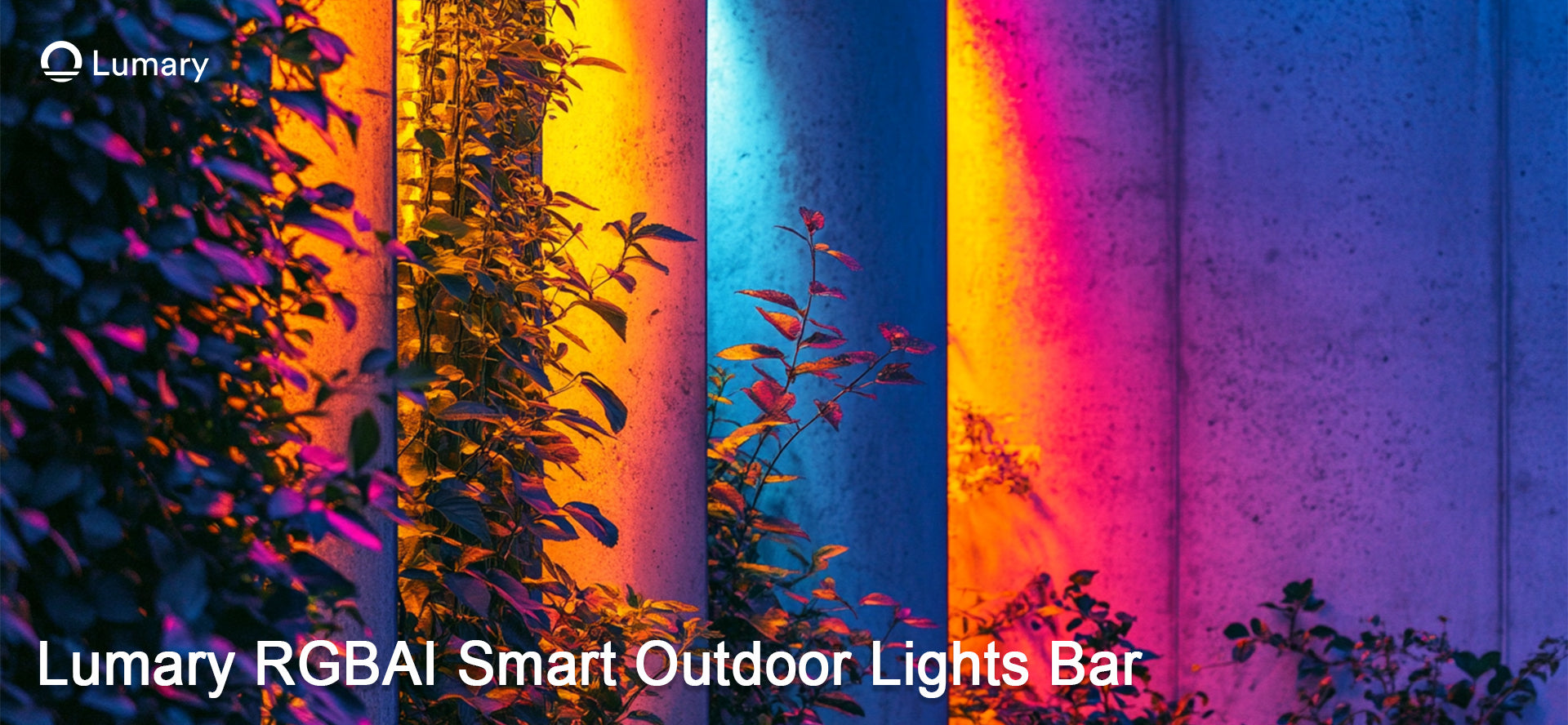 A Complete Guide to Designing Bar Lighting for Ambiance in 2025