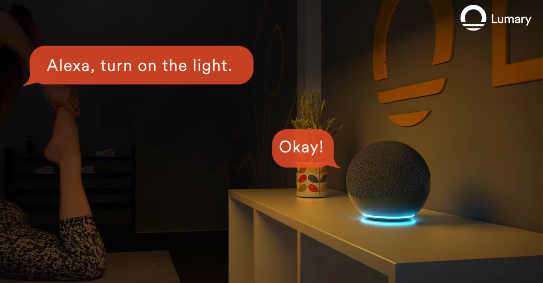 Smart Light Voice Control
