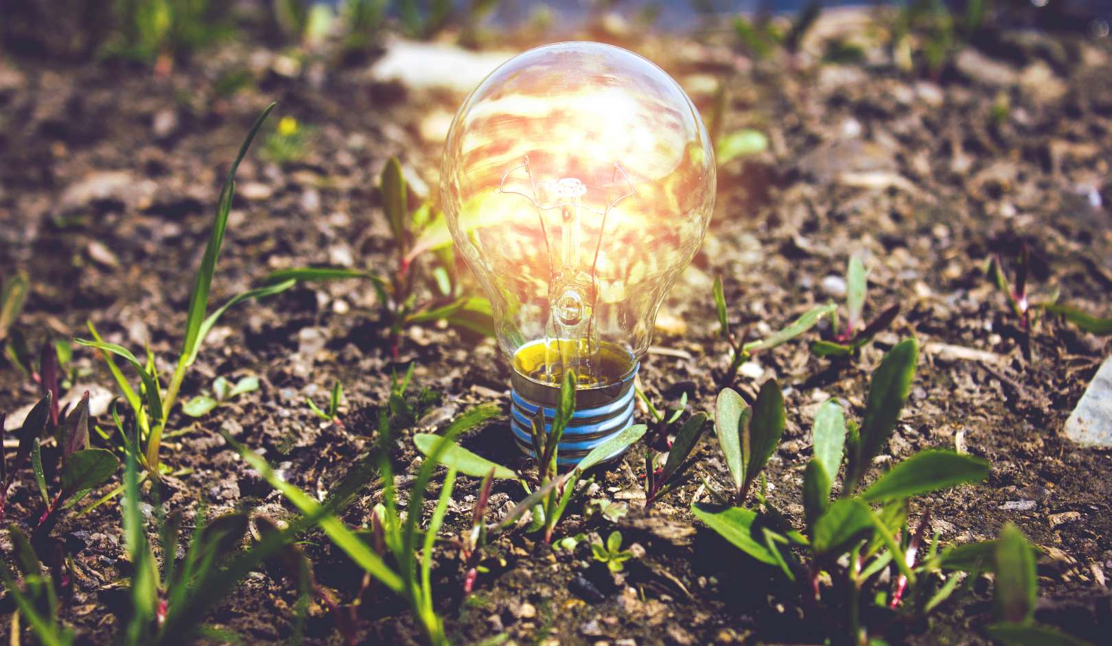 Light up life, planting hope.