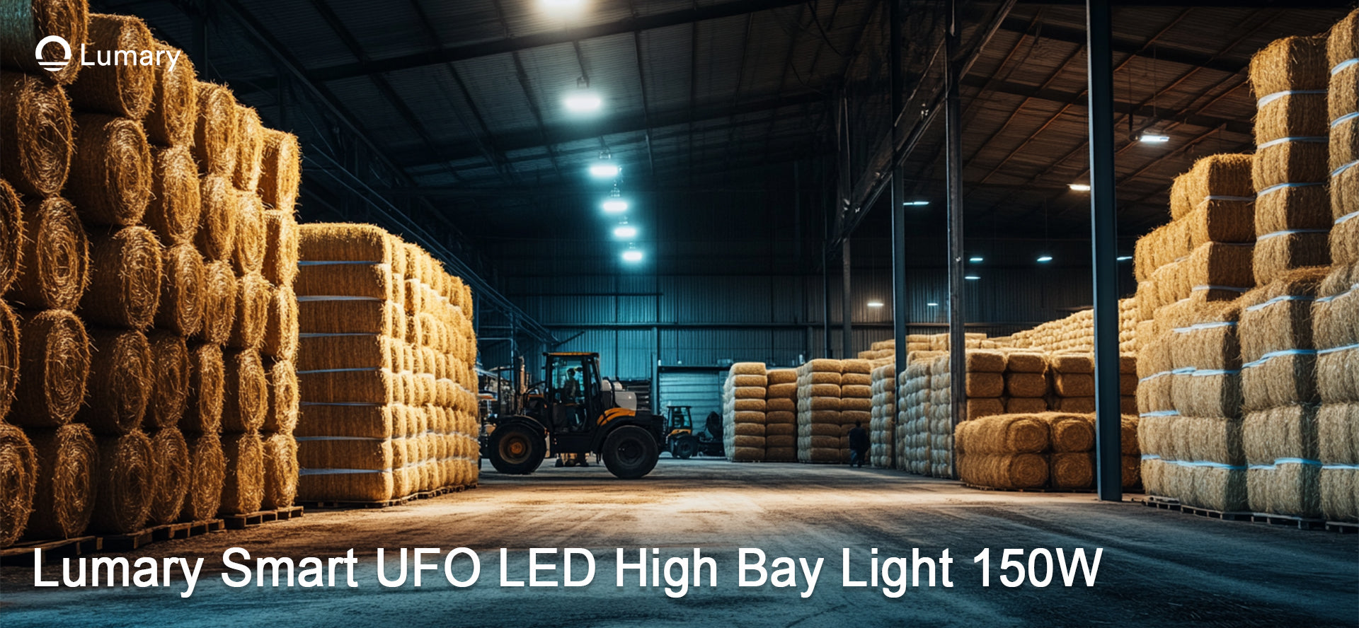 Best Lighting Ideas for Drop Ceilings in 2025