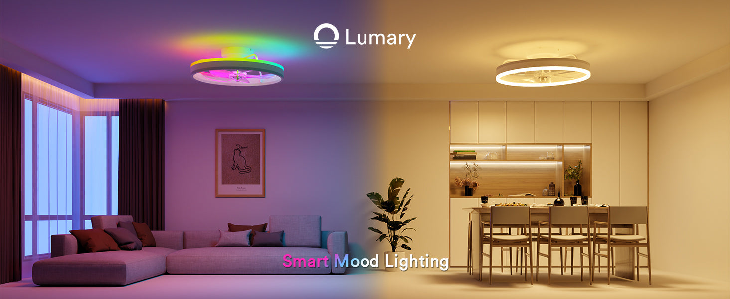 Top 10 Ceiling Fans with Lights for Every Room in 2025