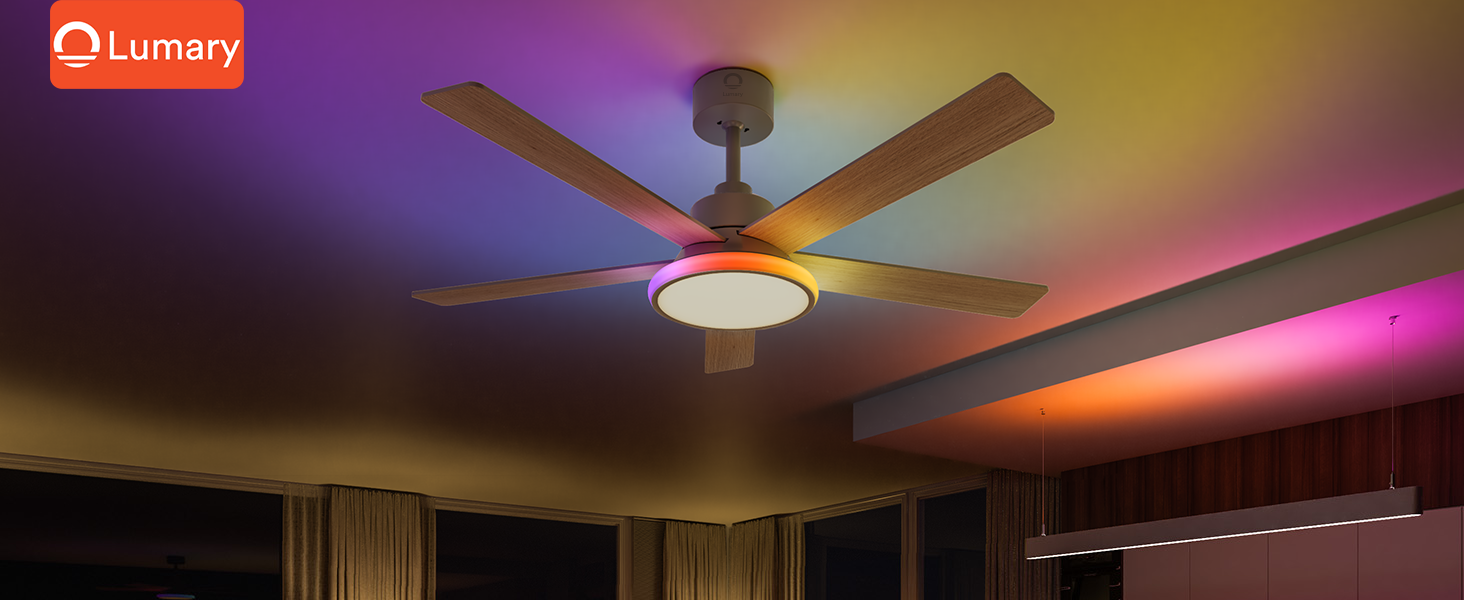 What’s New in Ceiling Fan Design for 2025