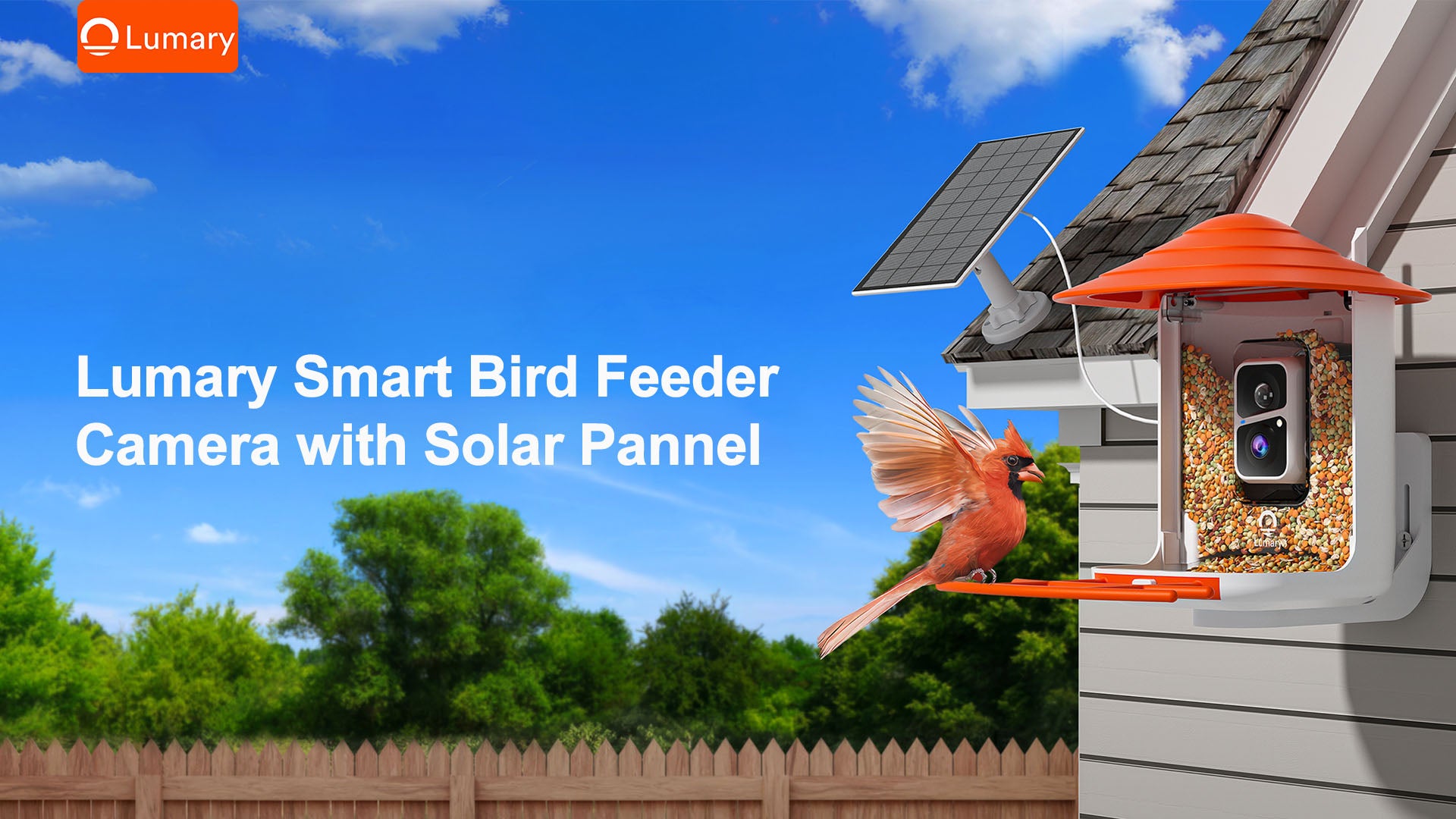 Lumary Smart Bird Feeder Camera with Solar Panel: Redefining Birdwatching with AIOT and Night Vision