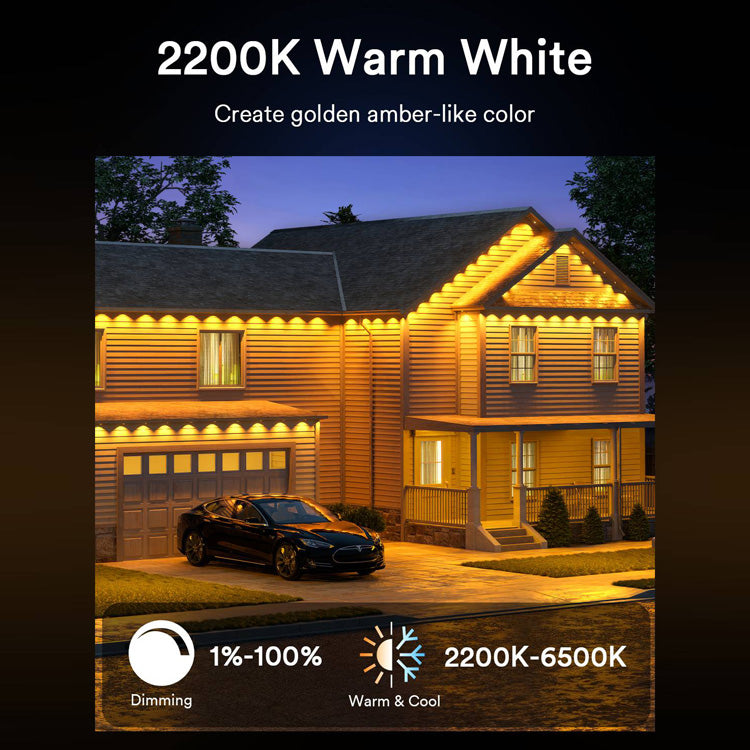 Warm white outdoor lights illuminating home with adjustable brightness for festive decor.