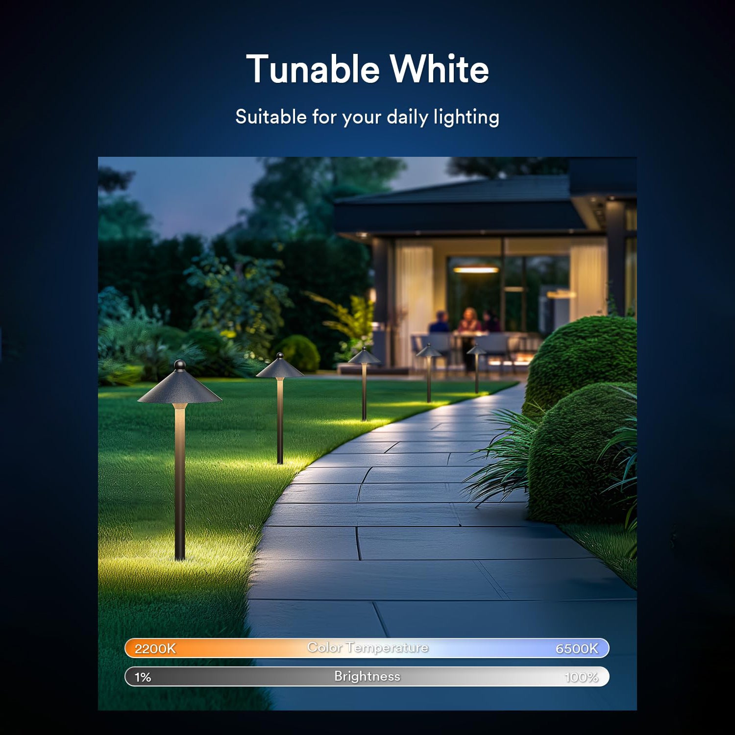 Lumary pathway lights with tunable white lighting on a garden path, adjustable brightness and color.