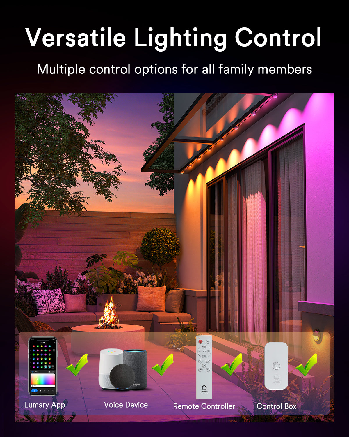 Control options for Lumary outdoor lights: app, voice, remote, and control box.