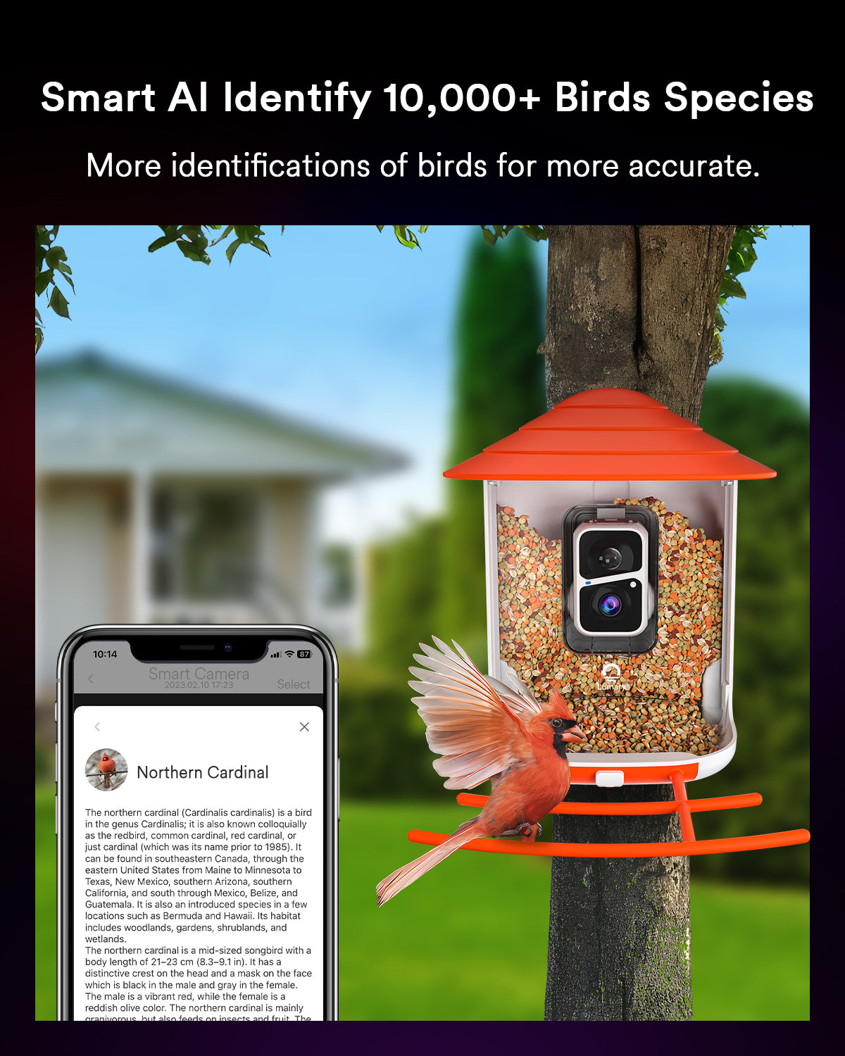 Lumary Smart Bird Feeder Camera