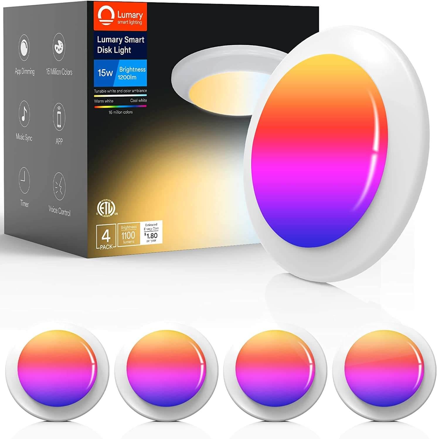 smart flush mount disk ceiling light