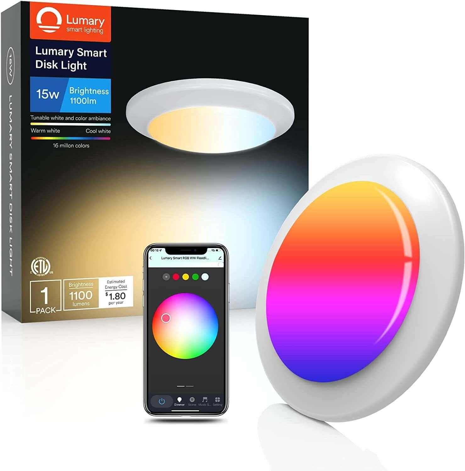 smart flush mount disk ceiling light