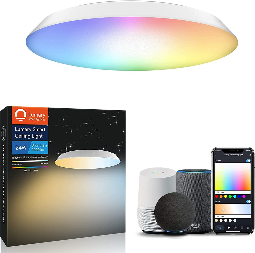 Smart Ceiling Lights 24W 2200LM