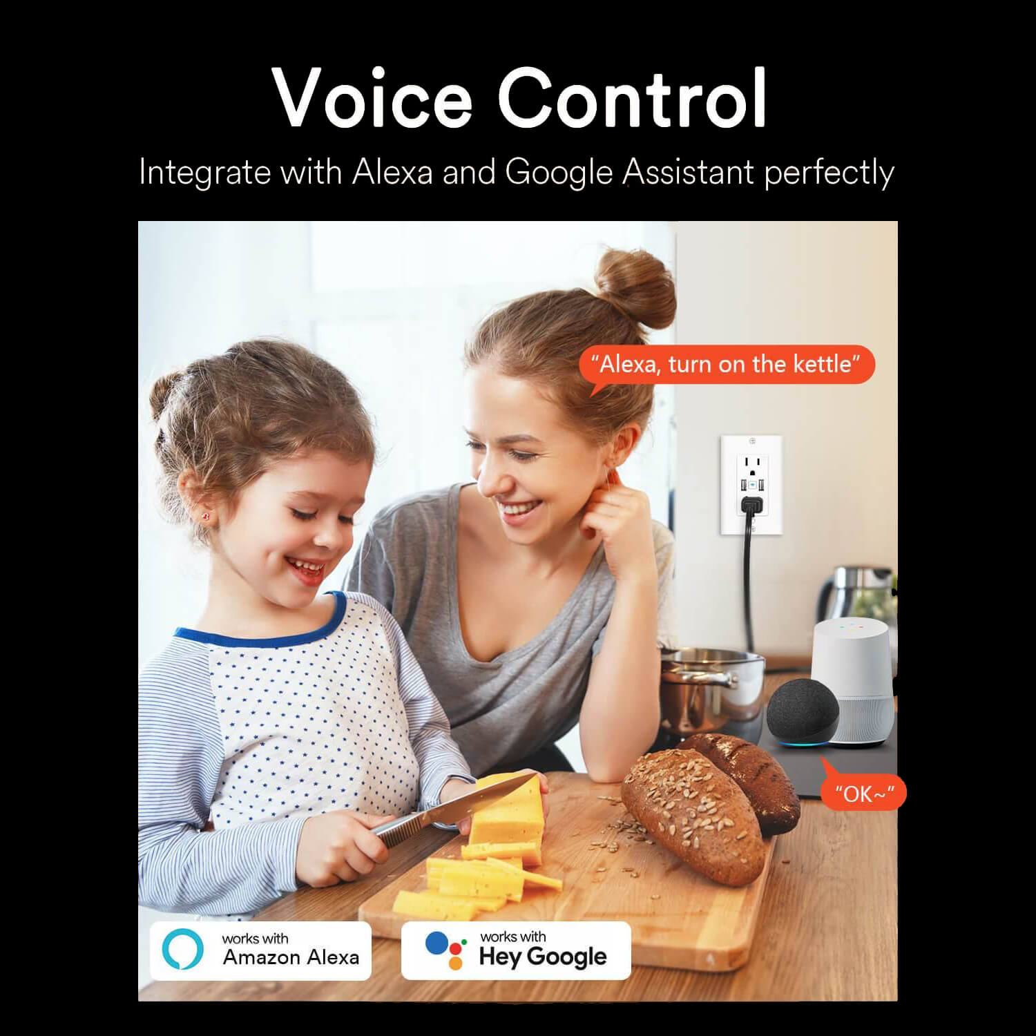 Lumary Smart Wi-Fi Outlet USB Fast Charger Smart Wall Socket 2PCS - Lumary